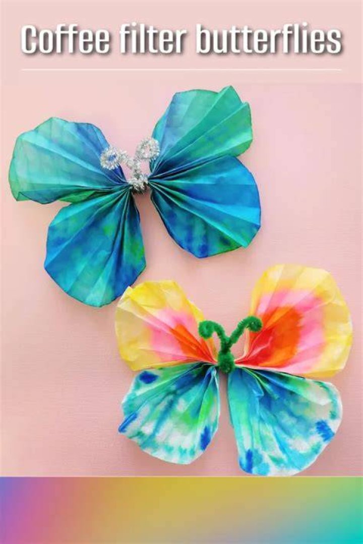 Coffee Filter Butterfly 2 Coffee Filter Butterfly 2