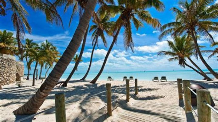 Cruises From Miami to Key West