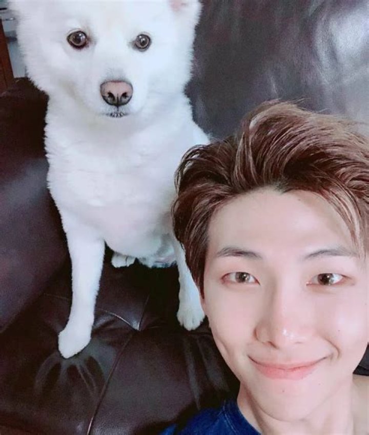 Mana-sama Pets - Celebrity Pets