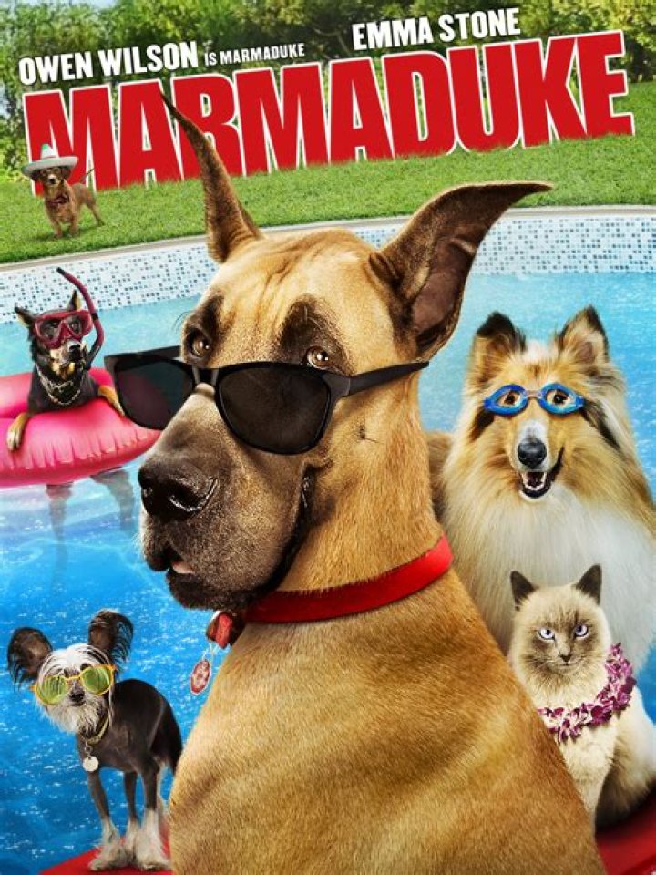 Netflix Marmaduke cast, synopsis, release date, trailer and more