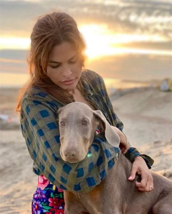 Ryan Gosling Pets - Celebrity Pets