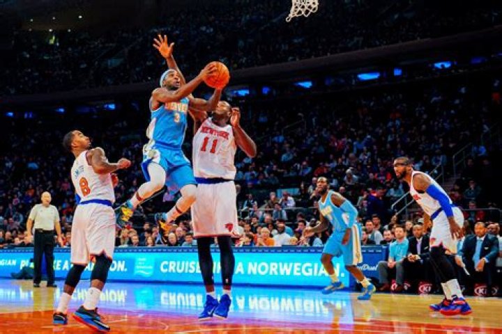 Samuel Dalembert Net Worth - Wiki, Age, Weight and Height, Relationships, Family, and More