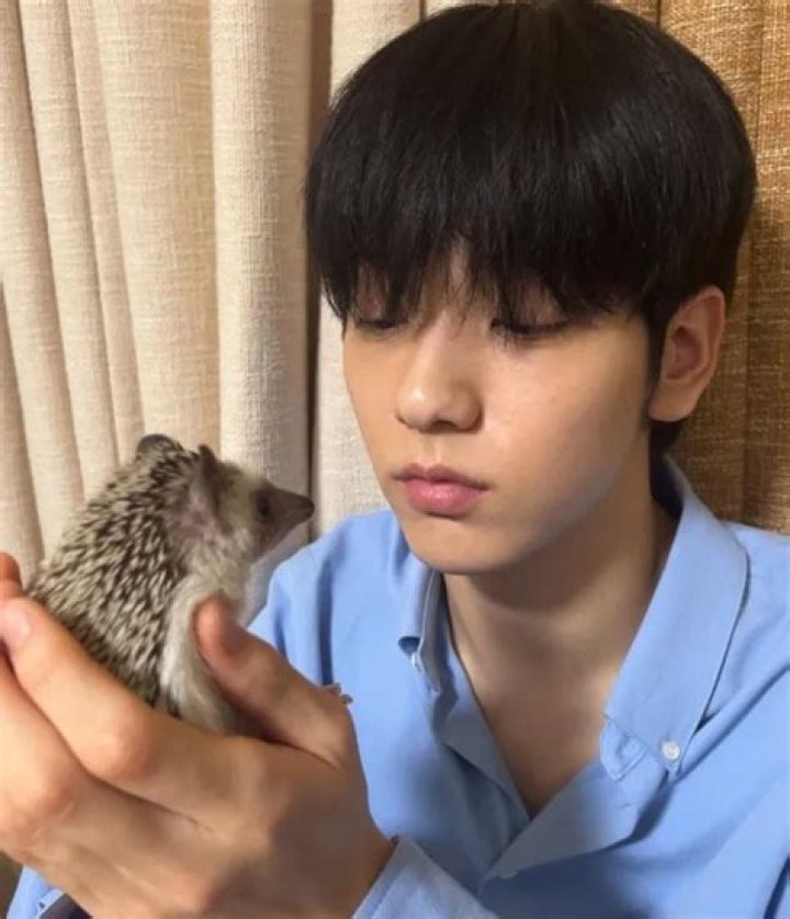 Soobin Pets - Celebrity Pets